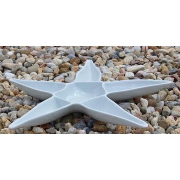 ESTRELA DO MAR GRANDE 50CM PORC.