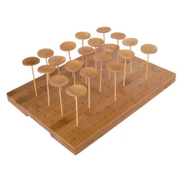 BANDEJA REUTILIZAVEL PARA 120 PICKS 25*30CM